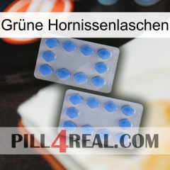 Grüne Hornissenlaschen 20